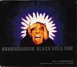 Black Hole Sun