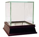 Steiner Sports Glass Single Baseball Case