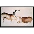Bild mit Rahmen: Paleolithic, Male and female deer, Magda, 80 x 48 - Aluminium Basic M: Schwarz matt