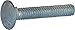1/2-13 x 6 A307 Grade A Carriage Bolt HDG (25)