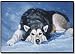 Siberian Husky Dogs Puppy Doormat Mat Rug