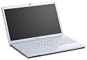 Sony Vaio EB1M1E 39,4 cm (15,5 Zoll) Notebook (Intel Core i3 330M 2,1GHz, 4GB RAM, 500GB HDD, ATI HD 5650, DVD, Win 7 HP) mattwei?/ silber