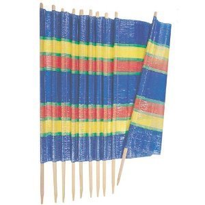 Beach Windbreak - Paravent de plage - 10 piquets - 6 m x 1,2 m