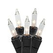 Set of 100 Clear Mini Christmas Lights - Black Wire