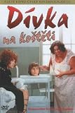 Dívka na kosteti (The Girl on the Broomstick)