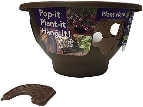 Plantopia Hanging Planters 12 in.