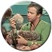 Search : Star Trek Kirk and Tribbles Button 81410