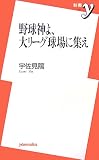野球神よ、大リーグ球場に集え (新書y 178)