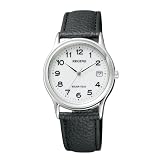 [シチズン]CITIZEN 腕時計 REGUNO レグノ ソーラーテック スタンダードモデル RS25-0033B メンズ