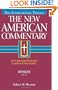 The New American Commentary Volume 27 - Romans