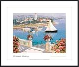Overlooking the Sails by Robert Zhang 27.00X33.00 Framed with Black Metal Frame