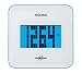 Salter 8802WHEF MaxView Electronic  Scale with Hugh 4.3 Readout