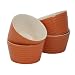 Danesco Stoneware Ramekins Set of 4 - Orange