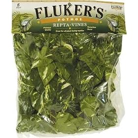 Buy Fluker's Repta Vines-Pothos by Fluker's