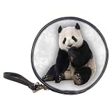 Classic 20 CD DVD Bluray Wallet Case of Panda Bear Youth