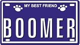 41OhZ91g iL. SL160  BOOMER Dog Name Plate for Dog House. Over 400 Names Availaible. Type in Name Dog Plate in Search. Your Dog Name will show up.