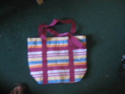 Southern Living At Home Insulated Cooler Tote