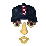 MLB Boston Red Sox Forest Face