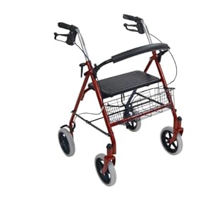 Drive Medical Four Wheel Rollator with Fold Up Removable Back Support, Red