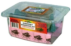 Nature Zone SNZ56411 Cricket Breeding Kit