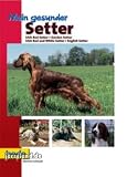 Hundebuch Setter / M. Schwab