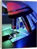 Box Canvas Print of Light microscope from Science Photo Library