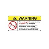 Lamborghini V10 No Bra, Warning decal, sticker 