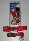 Florida Panthers Pet Accessories Set - Large (6' Leash, Collar, and ID Tag)