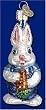 Bunny Brother