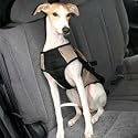 Snoozer X-Large Safety Harness in Silver