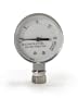Presto Steam Gauge for Pressure Canner