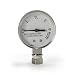 Presto Steam Gauge for Pressure Canner