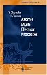 Atomic Multielectron Processes (Springer Series on Atomic, Optical, and Plasma Physics)
