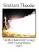 Southern Thunder - 2005 The Original Battlefield Footage from Reenactments