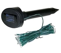 FROST BLUE 50 LED Lamp Solar Powered Lamp Set (Indoor or Outdoor)
