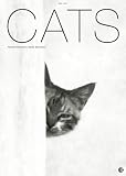 Cats Kalender 2012