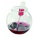 Solia SF50020 O2 Mini Bowl, 6-Ounce Capacity, 2.7" Diameter x 2.7" Height, Clear (Case of 50)
