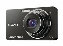 Sony Cyber-shot DSC-WX1/B 10MP Exmor R CMOS Digital Camera with 5x Optical Steady Shot Stabilized Zoom and 2.7-inch LCD (Black)