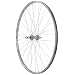 Avenir 36H Steel 27 Inch x 1-1/4 Inch 5-7spd Freewheel Silver Wheel (Rear)