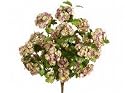 Allstate FBS321-RO-CR 20 in. Rose and Cream Snowball Bush X9- Case of 12