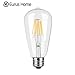 Eurus Home 6W Dimmable Edison Style Vintage LED Filament Bulb,E26 ST64 Base Lamp,2700K Warm Color 600LM,60W Incandescent Bulb Equivalent