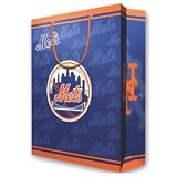 MLB New York Mets Gift Bag, Large