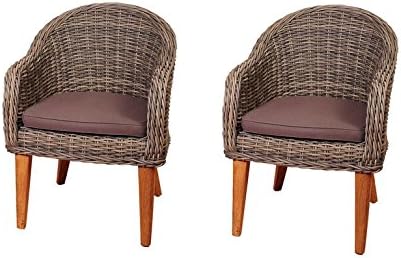 Amazonia Guam 2 Piece Teak/Wicker Arm Chair Set with Brown Cushions With Chanasya Polish Cloth