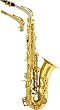 Giardinelli GS512 Alto Saxophone