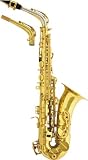 Giardinelli GS512 Alto Saxophone