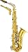 Giardinelli GS512 Alto Saxophone