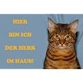 Metall - Warnschild Bengalkatze, Katze