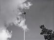 Flagpole Sitter With Paint Bucket Photographic Poster Print by H. Armstrong Roberts, 24x32