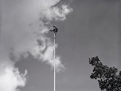 Flagpole Sitter With Paint Bucket Photographic Poster Print by H. Armstrong Roberts, 24x32