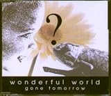 WONDERFUL WORLD CD